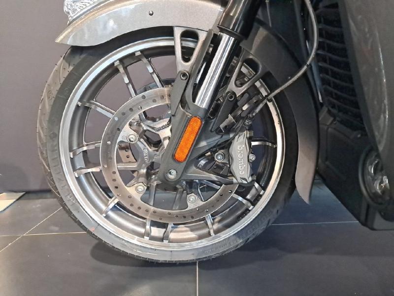 Image INDIAN Pursuit Pursuit 1768 Limited 2024