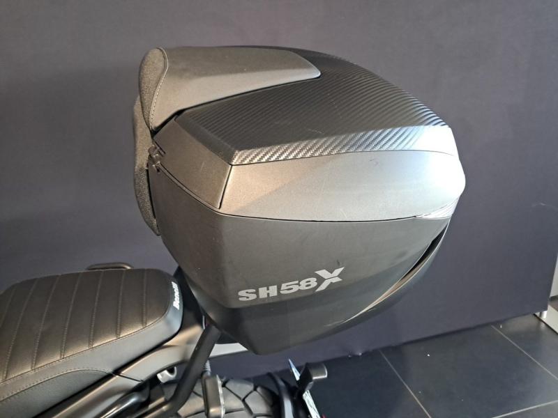 Image BENELLI Leoncino Leoncino 500 T